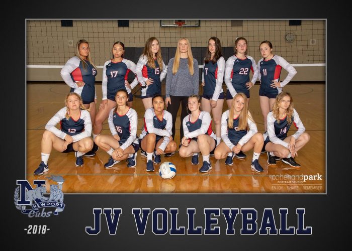 Volleyball JV 2018